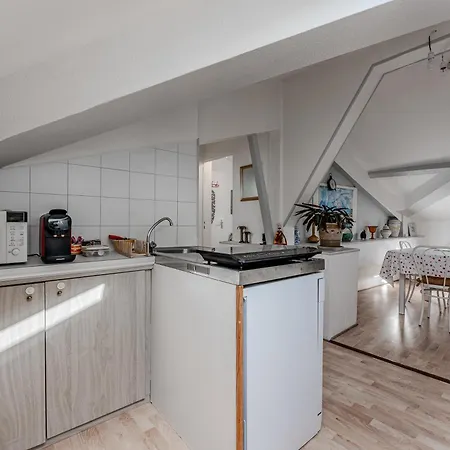 Apartment De Maitre Traversant